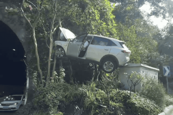 Carro fica pendurado em árvore após acidente e cena impressiona