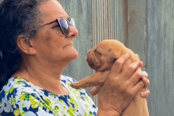 Vovó mostra evolução de seu cachorrinho e tamanho atual surpreende