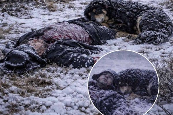 Cachorro passa 23 dias protegendo corpo do dono desaparecido e ajuda família a encontrá-lo